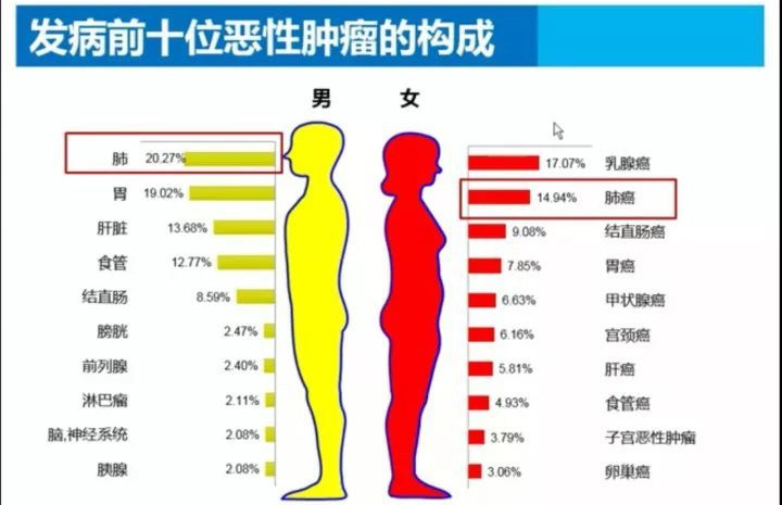 癌症患者比例